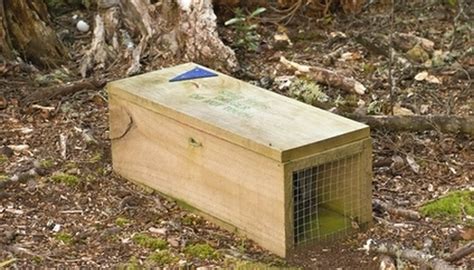 how to make a metal box trap|build your own rabbit trap.